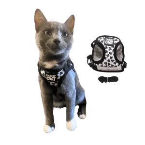 "The Bad to the Bone" Limited-Edition Skulls & Crossbones Cat Harness & Leash Set