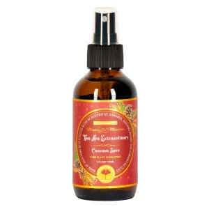 You Are Extraordinary Cinnamon Spice Pure Plant Room Spray